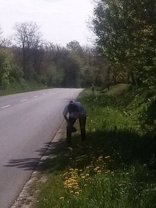 Az én El Caminom