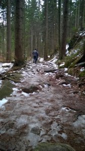 WP_20160206_15_07_26_Pro